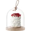 LSA International Ivalo - Cupola con base in frassino, trasparente, trasparente, 15.5 cm