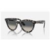 Ray Ban OCCHIALI DA SOLE RAY BAN 2241 WAYFARER WAY 54 XL SIZE 1333 71 Havana Grigio