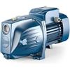 Pedrollo Elettropompa Pedrollo JSWm 2AX 1,25 HP 220V Pompa acqua autoadescante autoclave