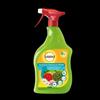 Solabiol Insetticida per piante Abbattente Azione Rapida SOLABIOL - Anche per cocciniglie