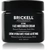 Brickell Men'S Crema Idratante Viso Al Retinolo, Crema Notte Antirughe Naturale