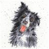 Bothy Threads Collie Bothy Threads Kit Punto Croce da Hannah Dale di Wrendale Design