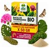 Albagarden Insetticida Bio Bacillus Thuringiensis contro Parassiti Larve Orto Giardino 50 g