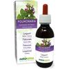 Naturalma Polmonaria (Pulmonaria Officinalis) Erba Con Fiori Tintura Madre Analcoolica -