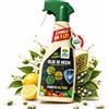 Albagarden Olio di Neem per Piante Corroborante Vegetale Naturale Pronto Uso Spray 1 Lt