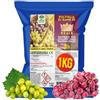 Albagarden Fungicida Per Piante Poltiglia Bio Bordolese Verderame Vite Olivo Orto 1 Kg