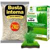 Albagarden Fertilizzante Granulare Tappeto Erboso Prato da Semi a Rotoli Resistente 2 Kg