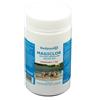 magiclor Cloro granulare in polvere 56% da 1 kg per piscina azzurrante e antialghe