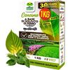 Albagarden Solfato Di Ferro Granulare Concime Fertilizzante Azione Rinverdente Fogliare 1Kg