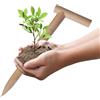 Albagarden Piantatoio in Legno Naturale per Orto Foraterra Trapiantatore Manuale x piantine