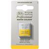 Winsor & Newton Professional - Vernici ad acquerello, vivaci e resistenti alla luce, pigmenti per artisti, 1/2 GODET, colore: Giallo Indiano