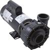 Waterway Pompa Waterway 3421020-1U 2,5HP 230V 2 Velocità 48 Frame Serie EX2