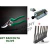 Kit Forbice Rami + Motorino 12V + Pettine Ricambio Abbacchiatore Scuoti Olive
