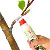 Albagarden - Mastice Per Innesti E Potature + Con Rame + Pasta Cicatrizzante per Tagli e Ferite su Piante Alberi Arbusti e Bonsai - Tubetto Pronto Uso X 250 gr