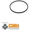 Cillichemie Guarnizione o-ring di ricambio dosatore anticalcare Cillit immuno 152 - 153 cill