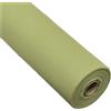 Subitodisponibile Bobina TNT VERDE MUSCHIO 50 cm x 20 metri 60 gr. 17WR