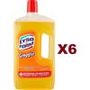 LYSOFORM 6 PZ LYSOFORM GREGGIO DETERGENTE DISINFETTANTE 1LT UCCIDE 99,99% DI BATTERI