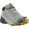 Non applicabile (TG. 37 1/3 EU) SALOMON Shoes Speedcross 5 GTX W, Scarpe da Corsa Donna, Wrought