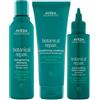 Aveda Botanical Repair Strengthening Shampoo 200ml Conditioner 200ml Treatment
