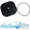 ASTRALPOOL 4405010419 FLANGIA MOTORE C 71 POMPA ASTRAL
