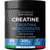 BANDINI Creatina Monoidrata in Polvere Pura100% Integratore per Allenamento con Dosatore