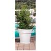 Monacis Vaso Plastica Giardino Esterno Fioriera Ø cm. 50x45 h Monacis V1303 Gemma