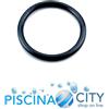 ASTRALPOOL 4403010304 GUARNIZIONE O-RING LAMPADA FARO