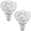 SANSI 100W Lampade LED con spettro completo per piante Alto rendimento Casalinga
