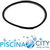 ASTRALPOOL 4404180201 GUARNIZIONE COPERCHIO FILTRO CANTABRIC E MILLENIUM TOP