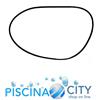 POOLS POOL'S 1210486 GUARNIZIONE O-RING COPERCHIO FILTRO A SABBIA 12 FORI