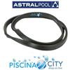 ASTRALPOOL 4405010606 GUARNIZIONE FLANGIA MOTORE ASTRAL