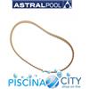 ASTRALPOOL 3302 CINGHIETTA DI TRASMISSIONE ROBOT ASTRAL (1 pz.)