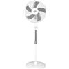 DCG Ventilatore Piantana Pale ø 43 cm Oscillante 3 Velocità VE1640 DCG