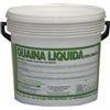 Vodichem Guaina Liquida Impermeabilizzante 20 Kg Calpestabile colore Bianco Vodichem