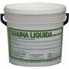 Vodichem Guaina Liquida Impermeabilizzante 20 Kg Calpestabile colore Rosso Vodichem