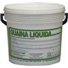 Vodichem Guaina Liquida Impermeabilizzante 20 Kg Calpestabile colore Grigio Vodichem