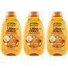 Garnier 3 Pz Garnier Ultra Dolce Shampoo Meraviglioso All'olio D'argan E Di Camelia