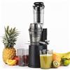 H.Koenig GSX16 - Estrattore di succo di frutta e verdura verticale 60 rpm, tecno