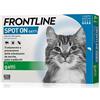 Frontline Spot-On Gatti 4 Pipette Da 0,5Ml