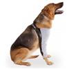 INSTR-FUN PETMED PROTECTOR BURSITIS CODAL T4