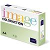 Antalis Coloraction-Risma di carta, motivo: animali della giungla, confezione da 250 fogli, per stampanti Laser e getto d'inchiostro e fotocopiatrici, 80 g/mq, formato A4