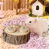 Foraging Feeder Toy Puzzle Game Treats in legno per ratti piccoli animali