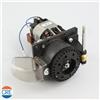 LELIT Gruppo Motore Macinacaffè 220/230V Originale Macchina Caffè PL82T Kate