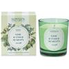 Nasoterapia Candela Lime e Foglie di Menta 180 g