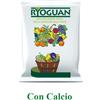 Agriges Ryoguan Stallatico Ammendante con Calcio Letame Organico Pellet Biologico 25 KG