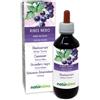 Naturalma Ribes Nero (Ribes Nigrum) Foglie E Frutti Tintura Madre Analcoolica - Estratto