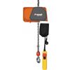 UNICRAFT Paranco Elettrico a Catena Professionale Unicraft 300kg Sollevatore Telecomando