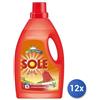 Sole 12x Bundle Sole Detersivo Lavatrice Per Capi Colorati 1000 Ml
