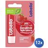 Labello 12x Bundle Labello Burrocacao Fragola/Strawberry Shine 85072