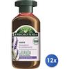 Antica Erboristeria 12x Bundle Antica Erboristeria Shampoo 250 Ml. Normali Lavanda